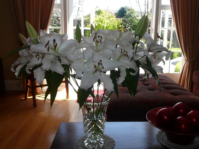 Kershaw House Boutique Accommodation - Nelson (Nova Zelândia) - Lounge