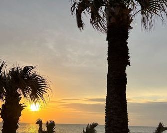 Flamingo Inn Beachfront - Daytona Beach - Daytona Beach