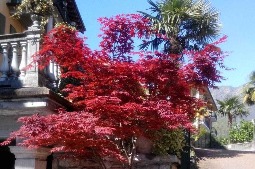 Hotel Azalea - Baveno - Näkymät ulkona