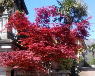 Hotel Azalea - Baveno - Näkymät ulkona