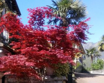 Hotel Azalea - Baveno - Näkymät ulkona