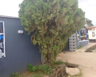 Ap Luxury Inn - Alimosho - Vista del exterior
