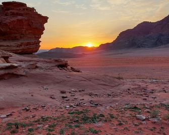 bedouin future camp - Wadi Rum - Patio