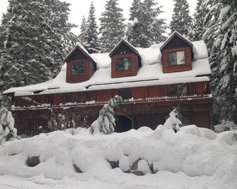 Mountain Chalet On 6 Acres On Mt. Shasta - Mount Shasta - Building