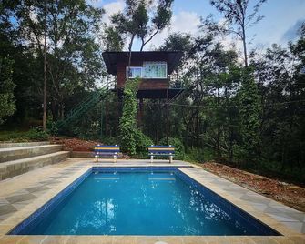 Devigiri Homestay and Resort - Chikamagalur - Pool