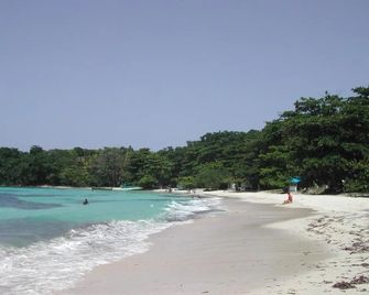 Moon San Villa at the Blue Lagoon - Port Antonio - Plage