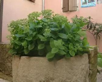 Bed & Breakfast Antico - Motovun - Vista del exterior