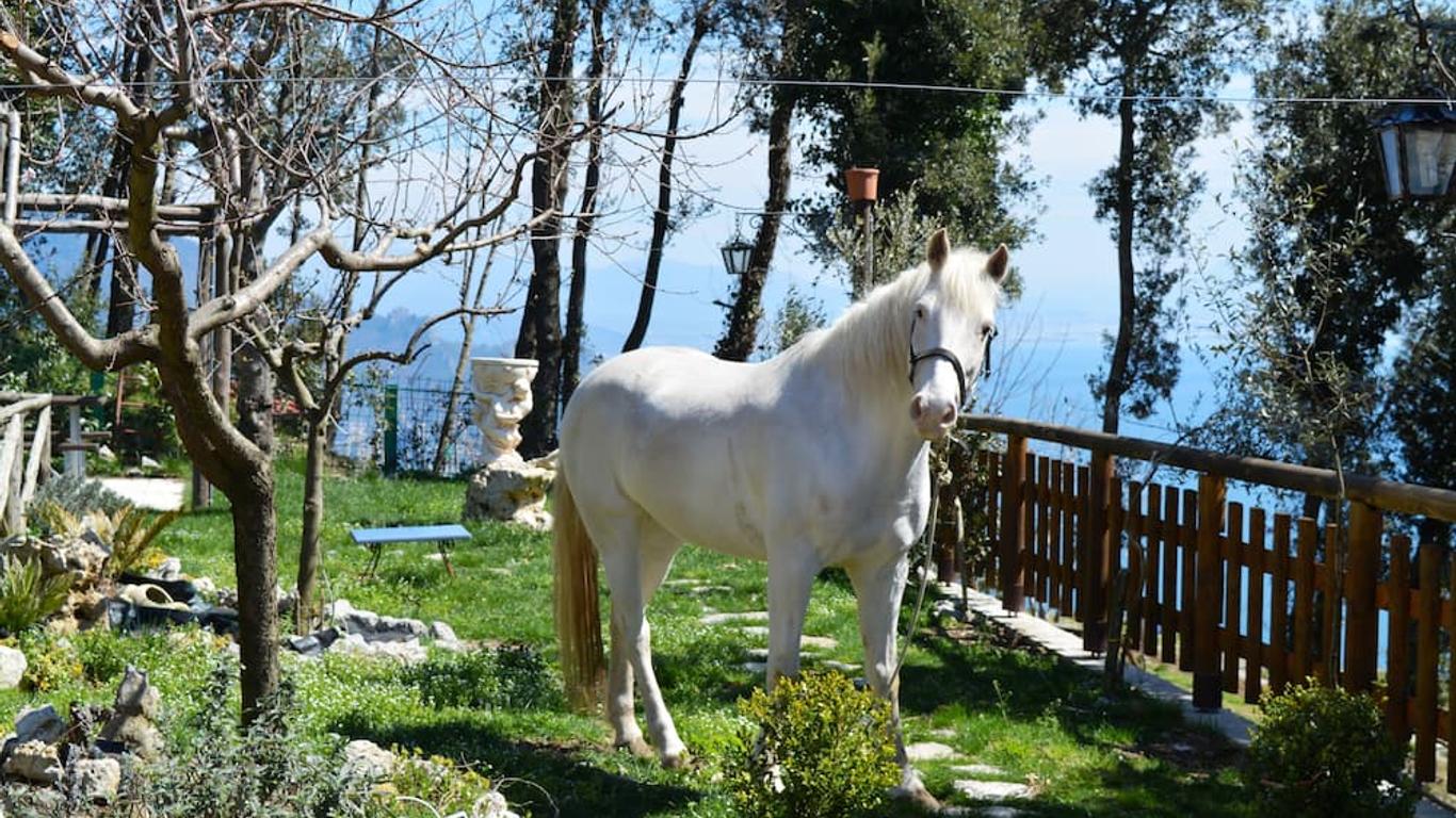 B&B Miramare