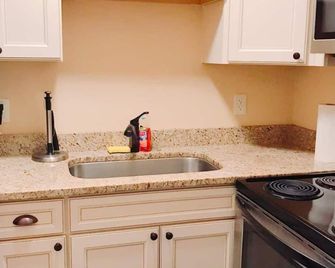 Beautiful Apartment in Historic Downtown Location - Greensboro - Kitchen