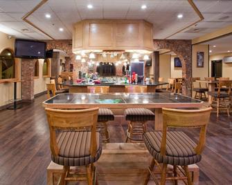 Holiday Inn Great Falls-Convention Center By IHG - גרייט פולס - בר