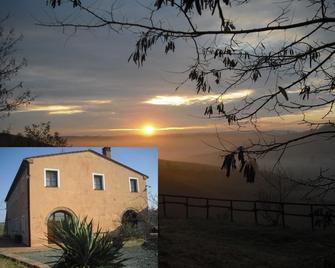 Podere della Collina - Palaia