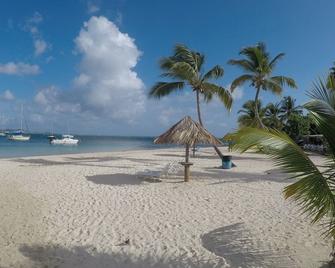 Hotel on the Cay - Christiansted - Strand