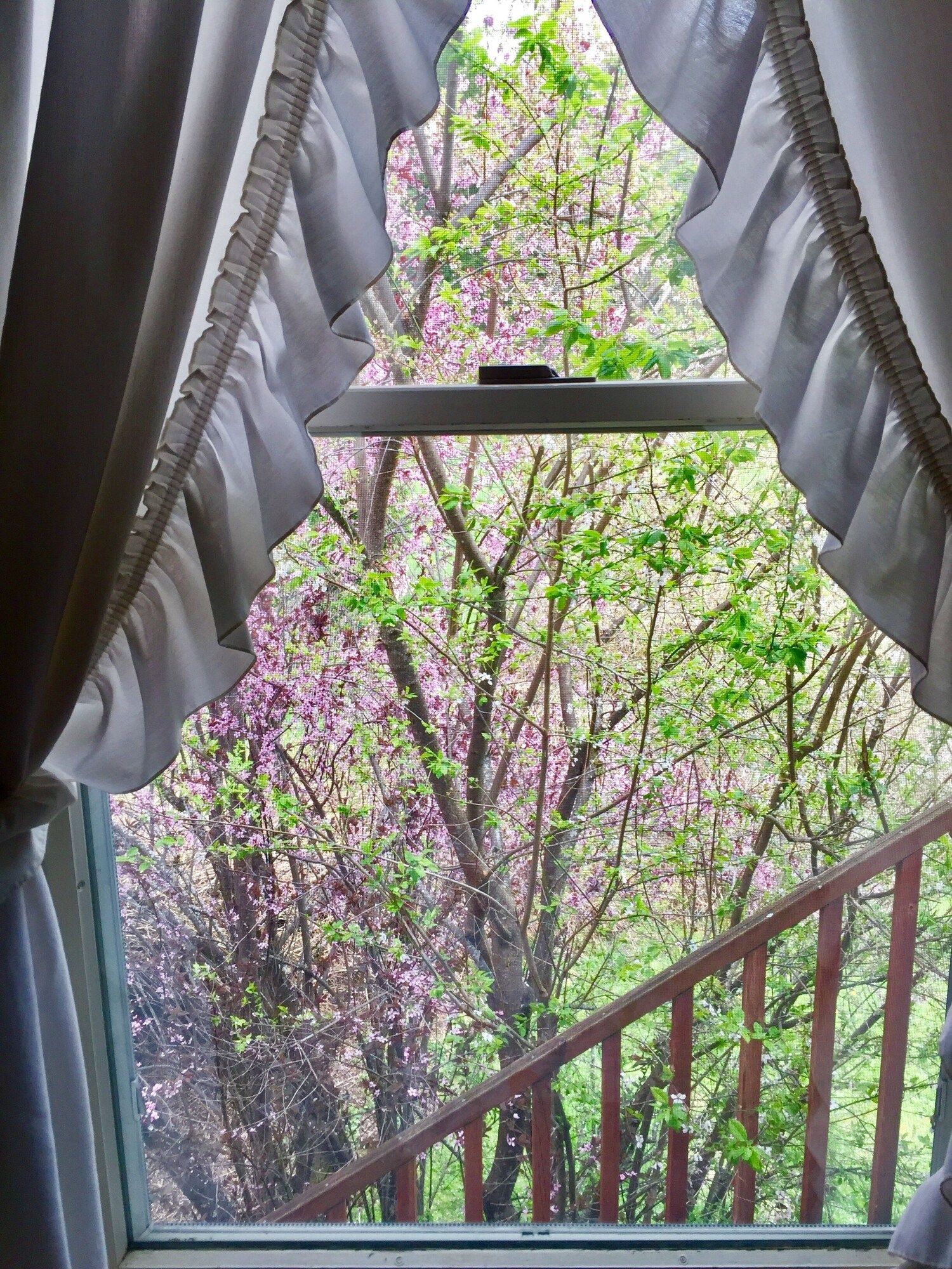 أليكساندرز لودج - أشفورد (واشنطن) - شرفة