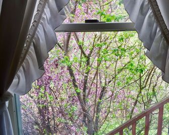 Alexander's Lodge - Ashford - Varanda