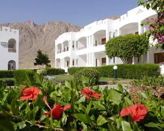 Happy Life Village Dahab - Dahab - Building
