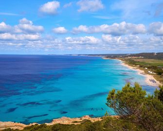 Sol Milanos Pingüinos - Son Bou - Beach