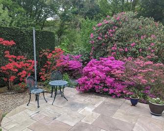 5BD House in the Forest - Hindhead - Patio