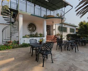 Agterplaas Guesthouse - Johannesbourg - Patio