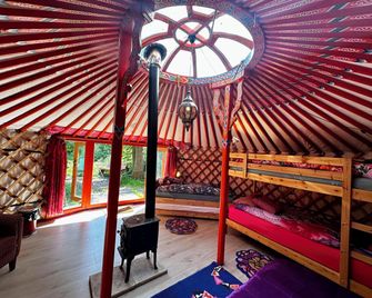 Eco-Camping De Helleborus, Yurt, Bell & Safari tent, Pipo, Caravans, Dorms and Units - Groningen