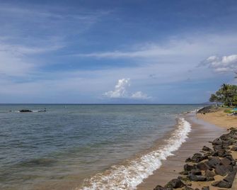 Island Surf #502 Great Location, Ocean View, Across from Kalama Park, A/C - Kihei - Playa