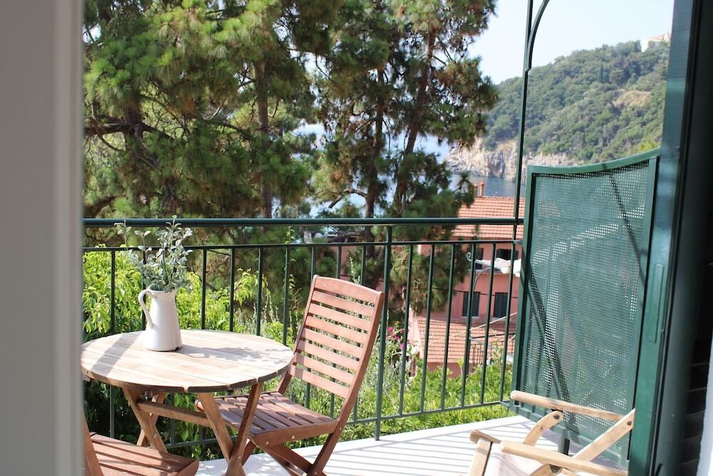 زيفيروس تراديشونال هوتل