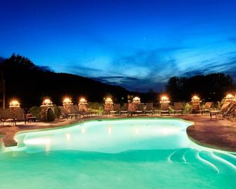 Big Cedar Lodge - Ridgedale - Pool