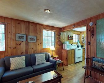 Lakefront cabin with private dock & beach access - Greenville - Living room