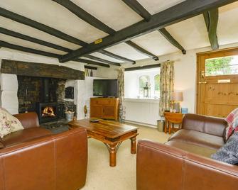 Little Week Cottage - Okehampton - Living room