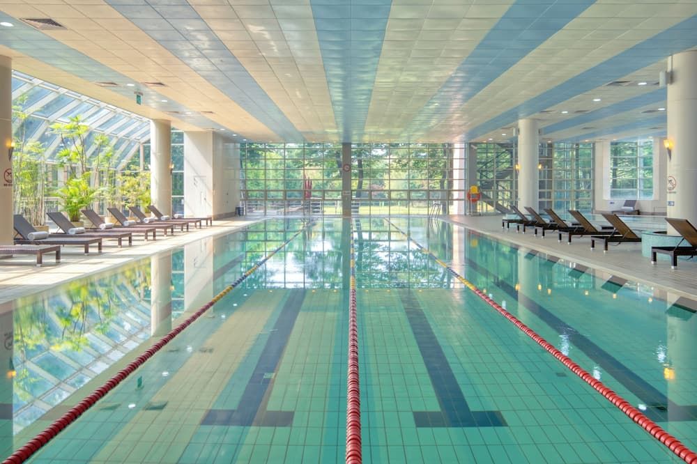 Mayfield Hotel & Resort Seoul - סיאול - בריכה