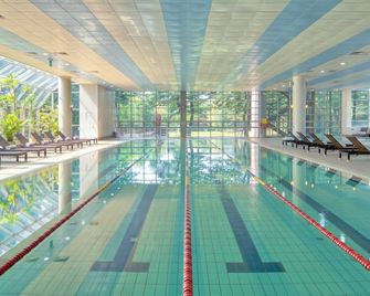 Mayfield Hotel & Resort Seoul - Seúl - Piscina