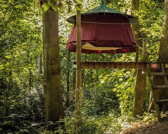 Woody Park - Fécamp