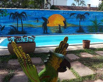 Geckos Hostel - Florianopolis - Piscine