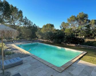 Family home with large pool and garden - Peace and quiet guaranteed - Aubais - Piscine