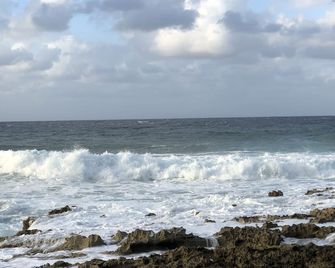Studio directly on the Cane Bay Beach ! Wake up to the sounds of the waves ! - Kingshill - Playa