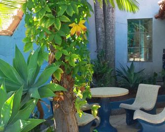 Pousada Hotel Casarão - סרה נגרה - פטיו