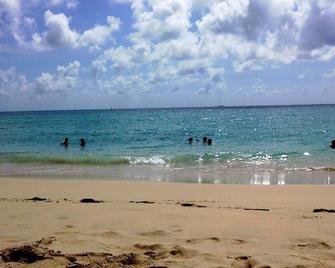 Beachfront Venice Island Condo: Olympic Pool, Free Wi-Fi,- Discounted Low Rates - Venice - Beach