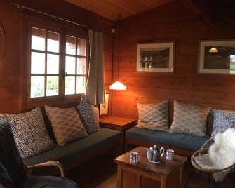 Great refuge spirit family cottage - Villard-de-Lans - Salon