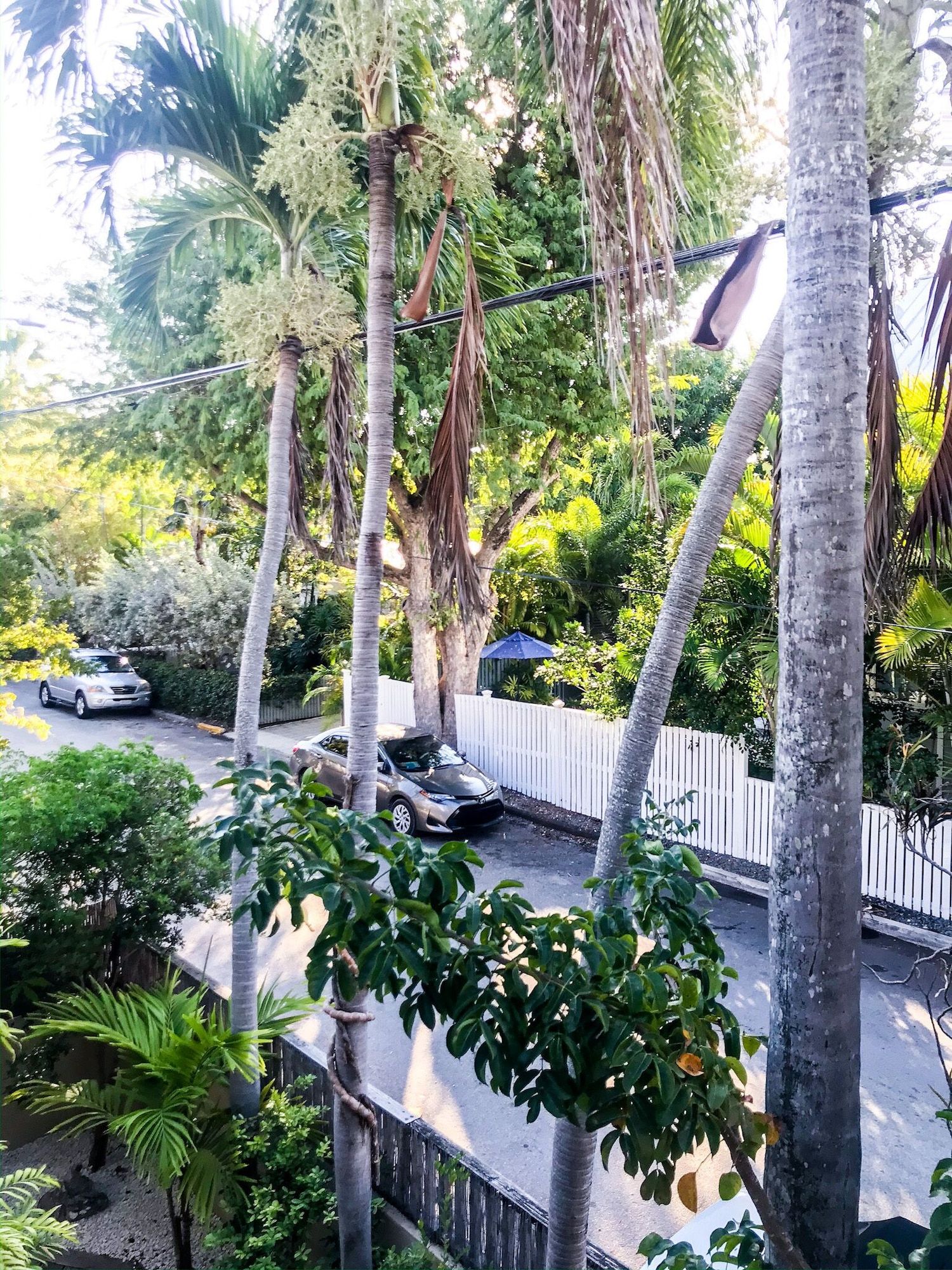 Authors Key West Guesthouse - Cayo Hueso - Vista del exterior