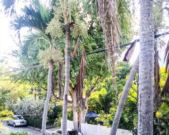 Authors Key West Guesthouse - Cayo Hueso - Vista del exterior
