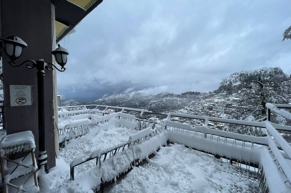 Hotel Willow Banks Shimla - שימלה - מרפסת