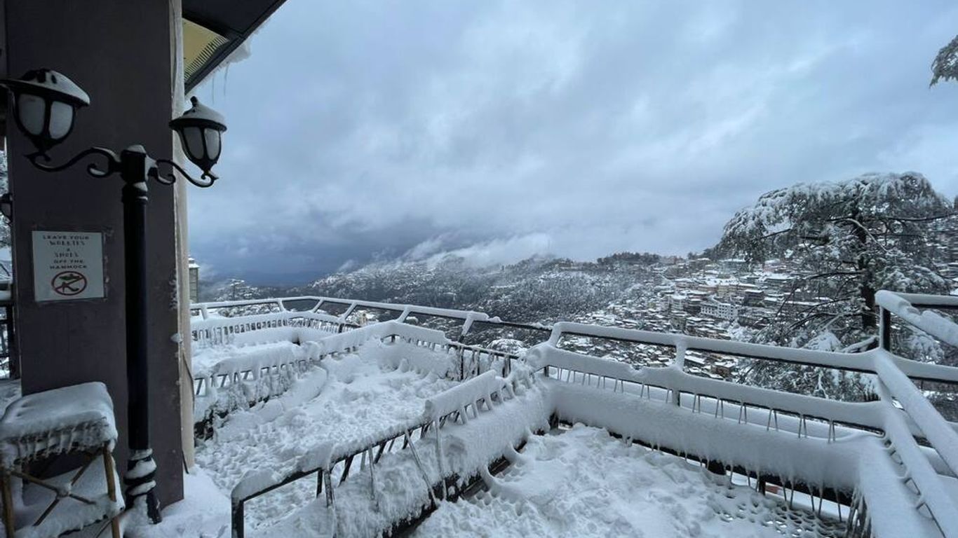 Hotel Willow Banks Shimla