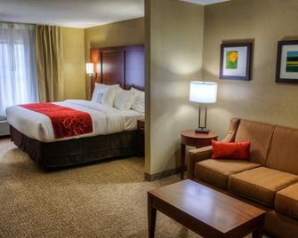 Comfort Suites Plymouth near US-30 - Plymouth - Quarto
