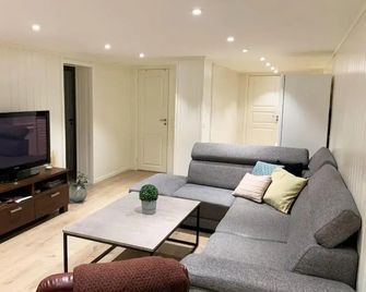 Newly renovated basement apartment - Sarpsborg - Obývací pokoj