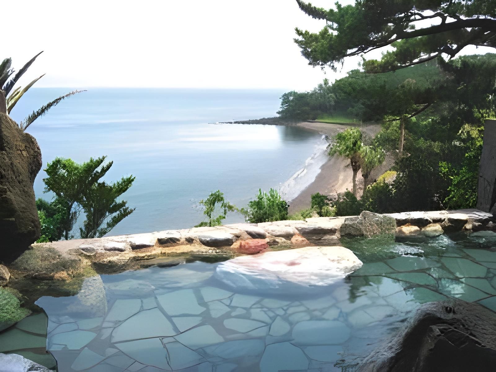 Ibusuki Iwasaki Hotel