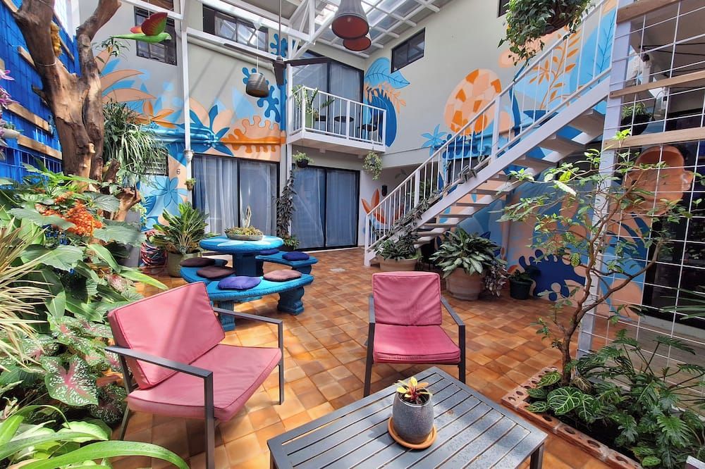 Jungla Urbana Bnb - Adults Only - סן חוזה - פטיו