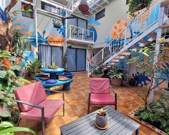 Jungla Urbana, Bnb - San José - Patio