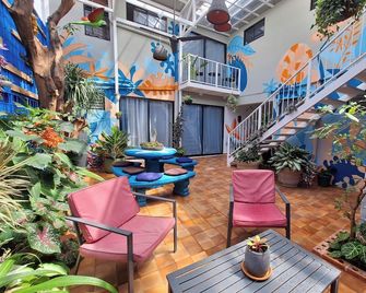 Jungla Urbana Bnb - Adults Only - סן חוזה - פטיו
