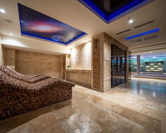 هوتل أليكسندر لوكس - بودغوريكا - ردهة