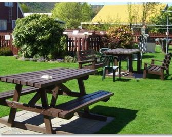 Arrowtown Viking Lodge Motel - Arrowtown - Patio