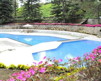 Rudang Berastagi Hotel - Berastagi - Pool